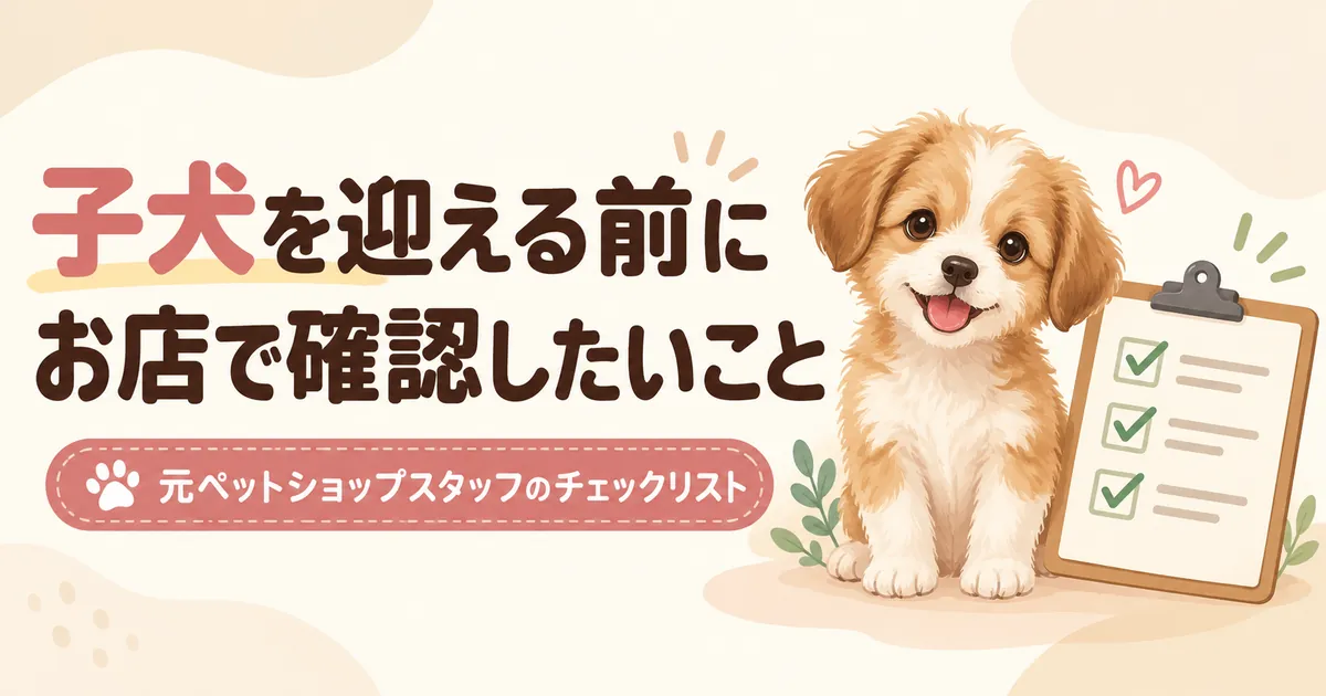 子犬を迎える前にペットショップで確認したいことを紹介するチェックリストのアイキャッチ画像